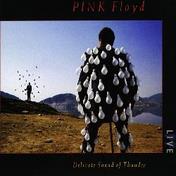 Okładka płyty Pink Floyd